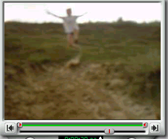 flying.jpg