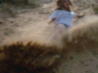 stunt8.jpg